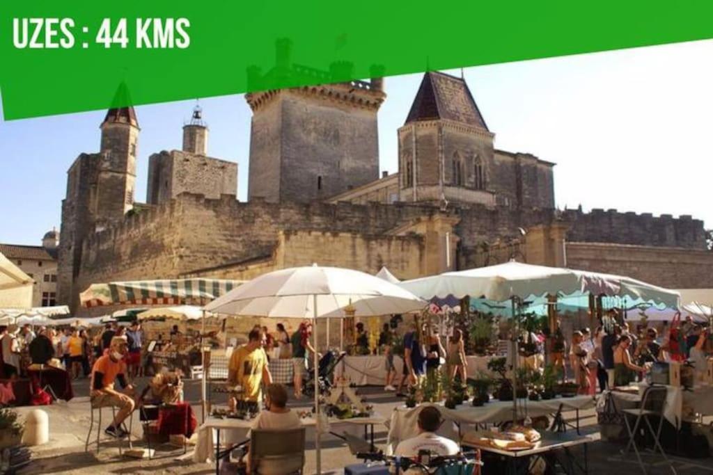 La Terrasse Des Carmes - Terrasse - Ac Clim - Spacieux Avignone Esterno foto